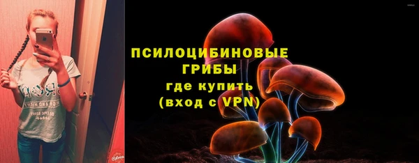 ешки Богданович